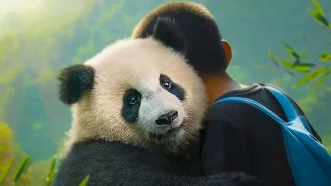 CINEMAGIA - Moon il panda (ore 16:45)