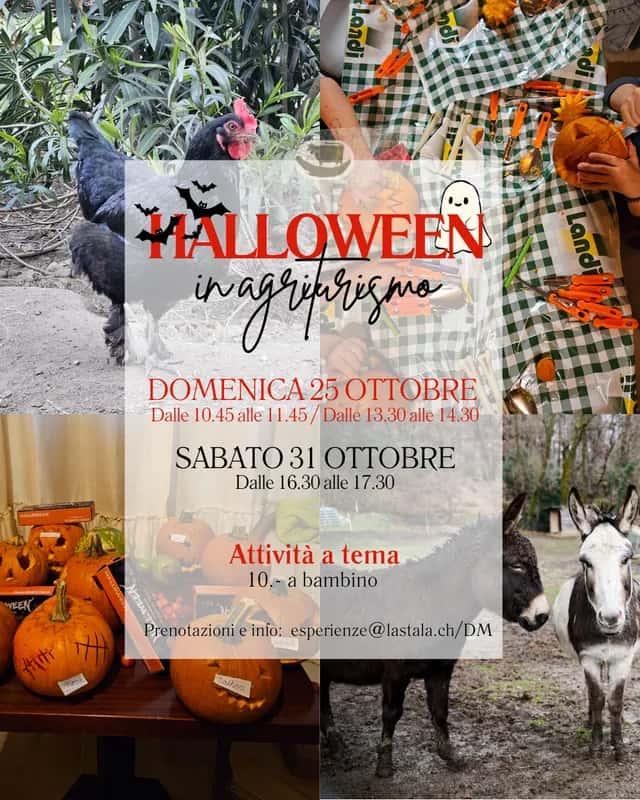 Halloween in agriturismo