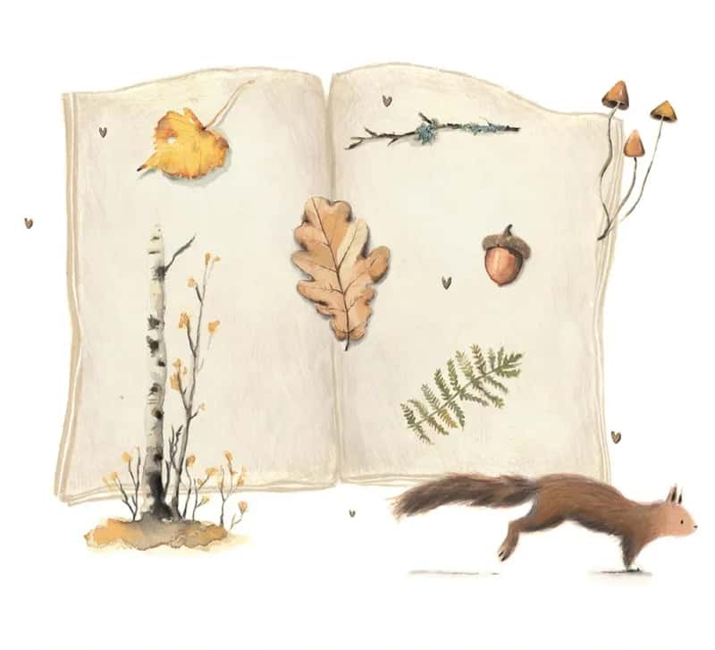 Corso di acquarello naturalistico